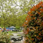De-Bosrust-Speeltuin-1
